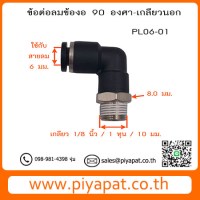 PL06-01 รูปโชว์1